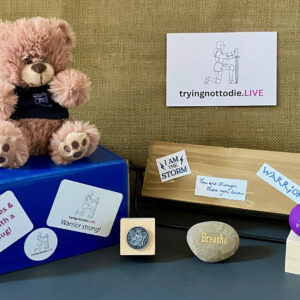 “Bear Hug” Care Package™